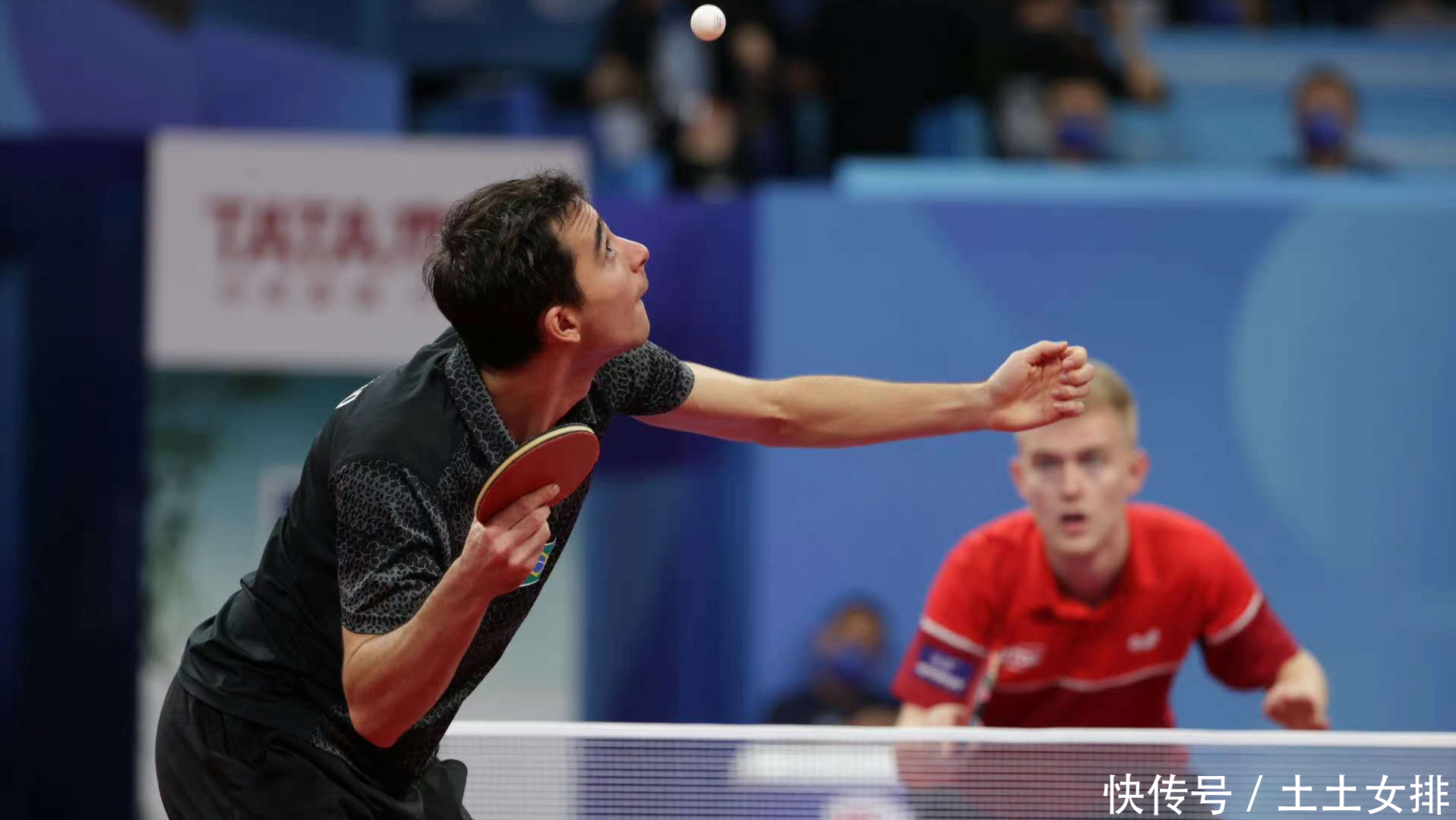 篮球的胜利 篮球的胜利